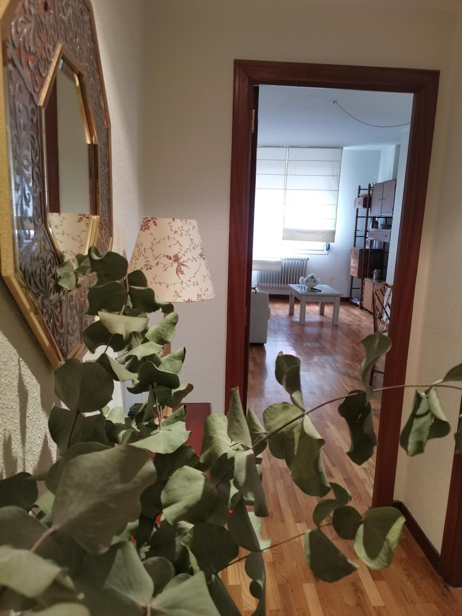 Apartamento Estriva Apartment Ezcaray